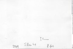 Historisches Foto (Rückseite) von Cracensigillatus acutirostris (Moericke, 1889) (NHMW-AFW-GEO-BACHMAYER-FOTO-1990-0041-2269)